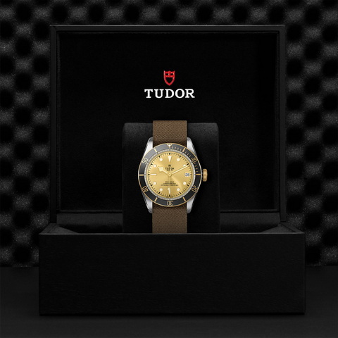 tudor Black Bay S&G M79733N-0006 controller
