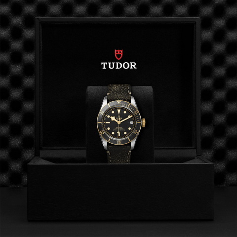 tudor Black Bay S&G M79733N-0007 controller