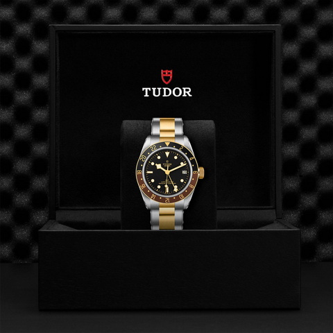 tudor Black Bay GMT S&G M79833MN-0001 controller