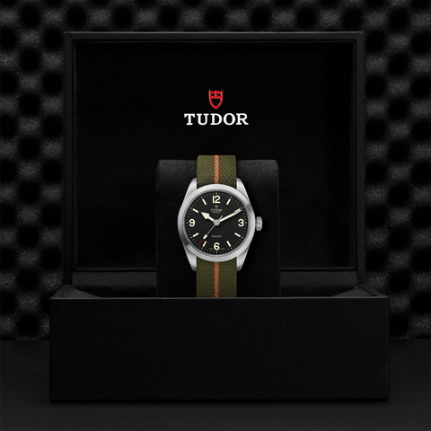 tudor Ranger M79950-0003 controller