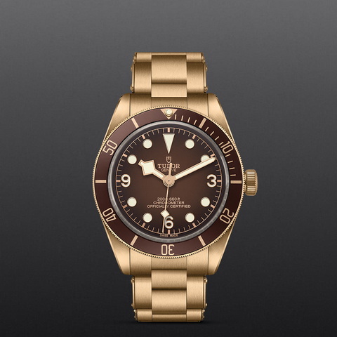 tudor Black Bay 58 Bronze M79012M-0001 controller