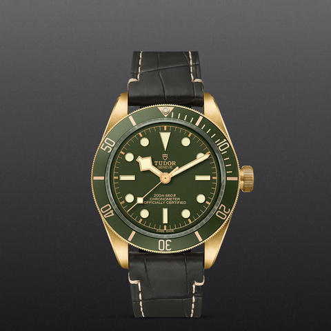 tudor Black Bay 58 18K M79018V-0001 controller