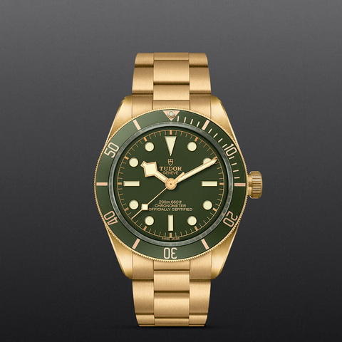 tudor Black Bay 58 18K M79018V-0006 controller