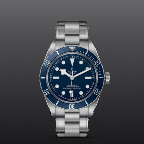 tudor Black Bay 58 M79030B-0001 controller