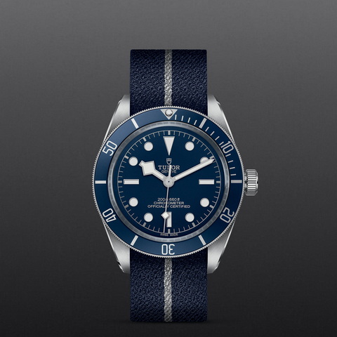 tudor Black Bay 58 M79030B-0003 controller