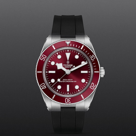 tudor Black Bay 58 M7939A1A0RU-0003 controller