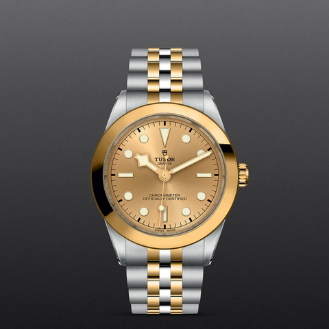 tudor Black Bay One 39 S&G M79663-0005 controller