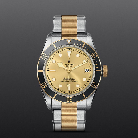 tudor Black Bay S&G M79733N-0004 controller