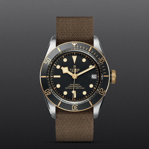 tudor Black Bay S&G M79733N-0005 controller