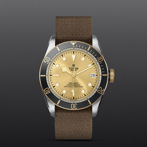 tudor Black Bay S&G M79733N-0006 controller