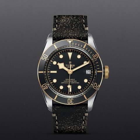 tudor Black Bay S&G M79733N-0007 controller