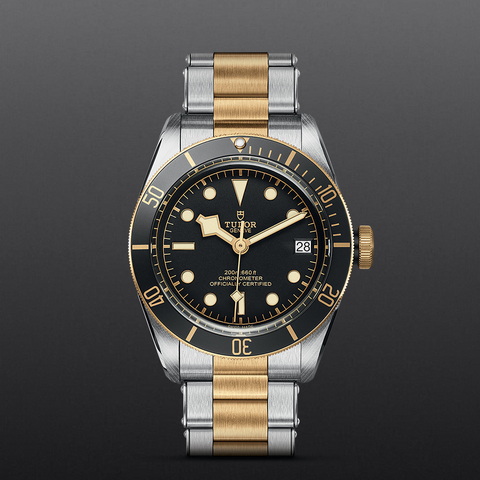tudor Black Bay S&G M79733N-0008 controller
