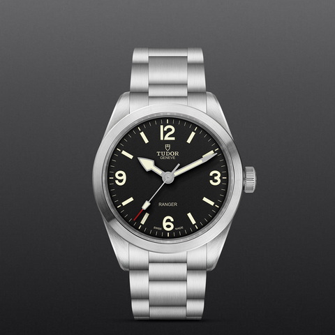 tudor Ranger M79950-0001 controller