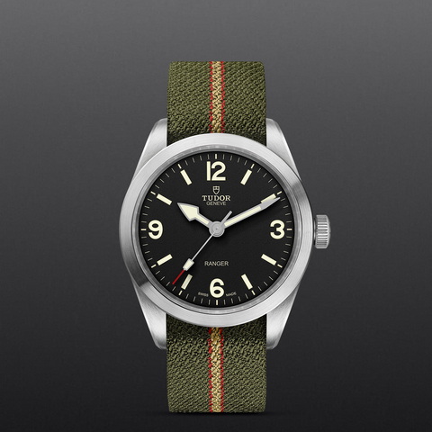 tudor Ranger M79950-0003 controller