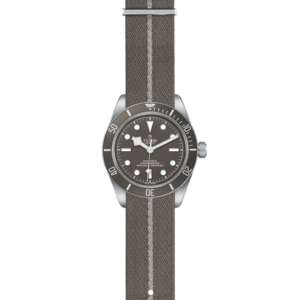 Tudor Black Bay 58 M79010SG-0002