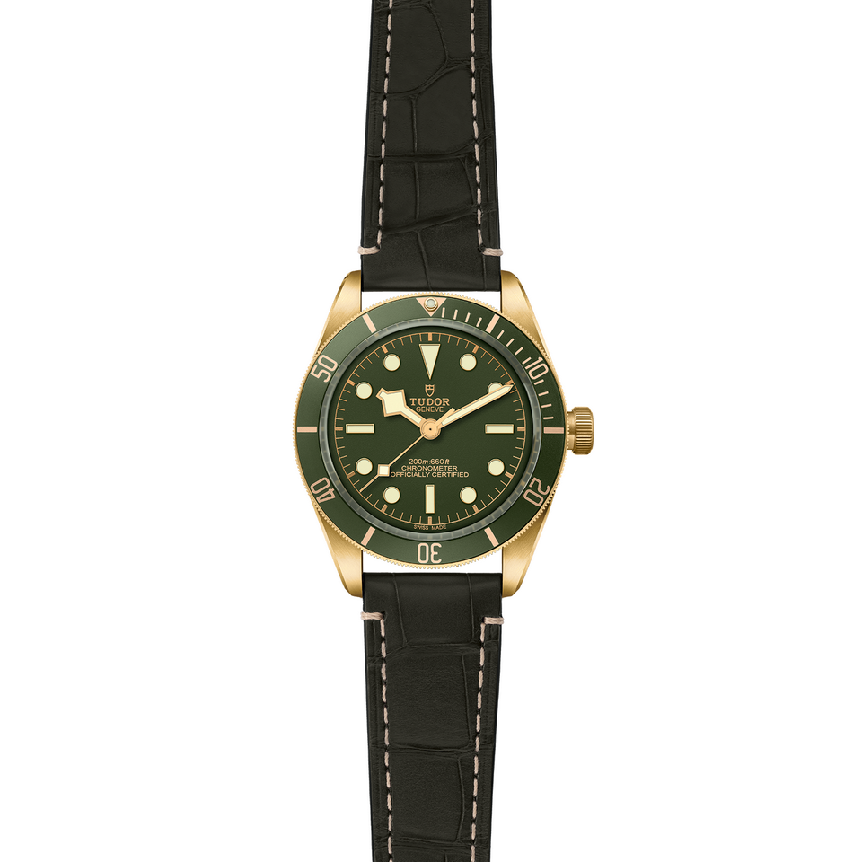 Tudor Black Bay 58 M79018V-0001