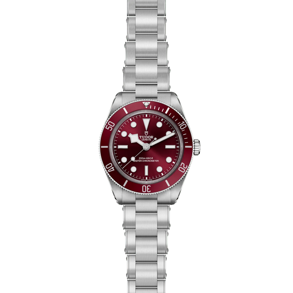 Tudor Black Bay 58 M7939A1A0RU-0002