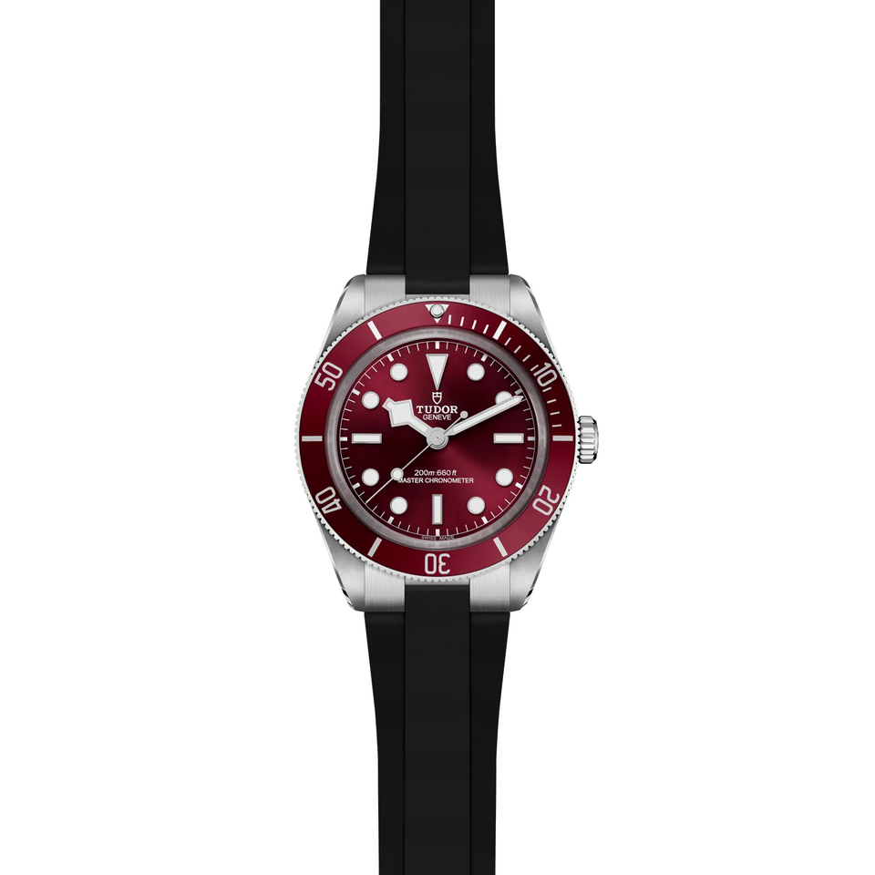 Tudor Black Bay 58 M7939A1A0RU-0003