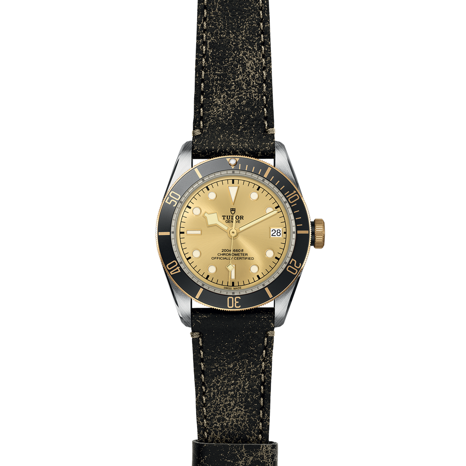 Tudor Black Bay M79733N-0003