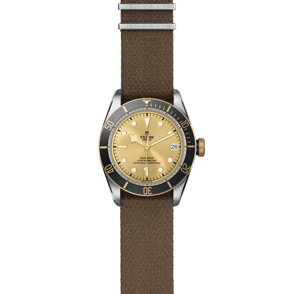 Tudor Black Bay M79733N-0006