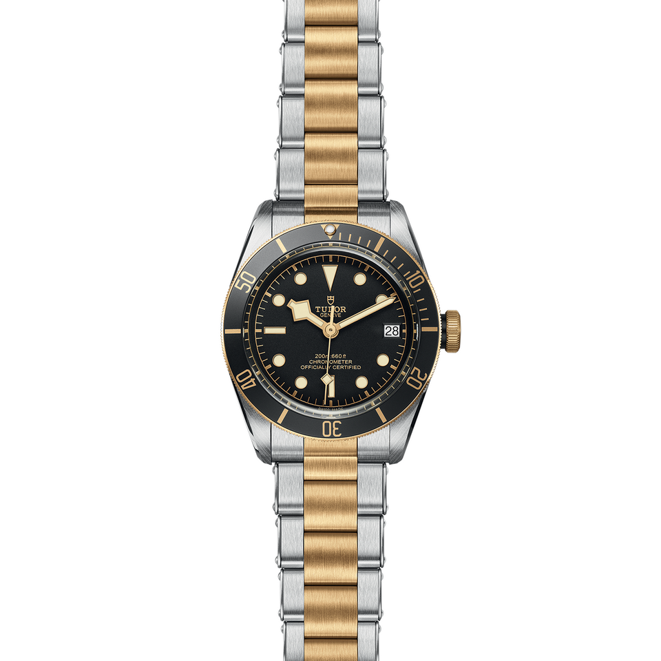 Tudor Black Bay M79733N-0008