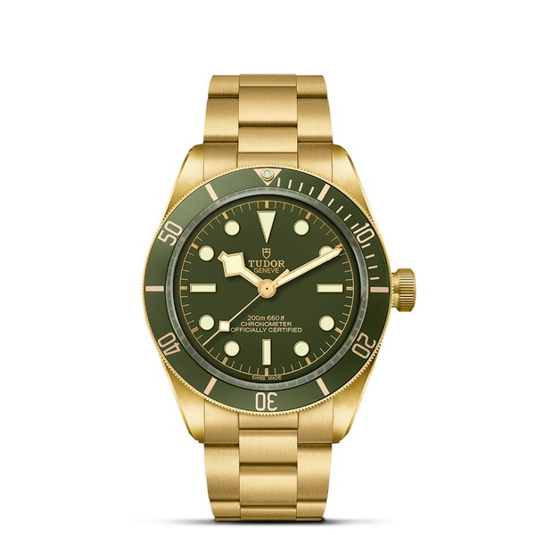 Tudor Thailand Bangkok Black Bay 58 18K-M79018V-0006-Nam Sawang